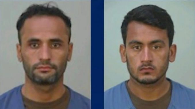 Two-Afghans