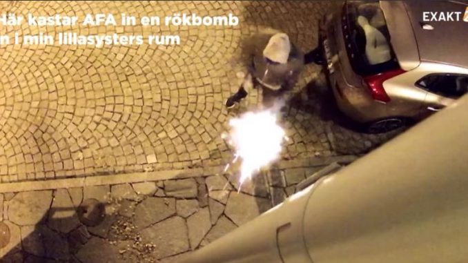 Sweden-Antifa