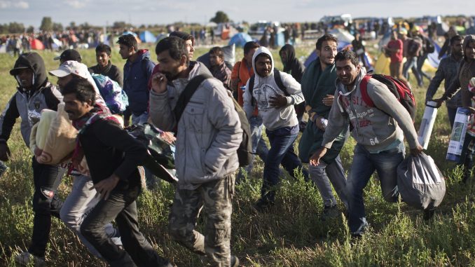 migrants