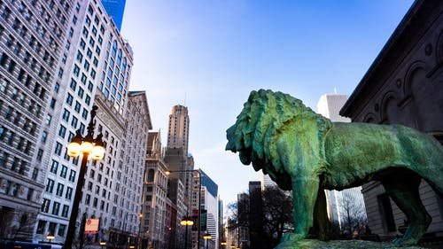 Chicago-Black-Latino