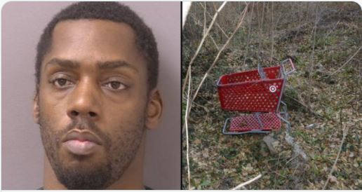 shopping-cart-killer-1