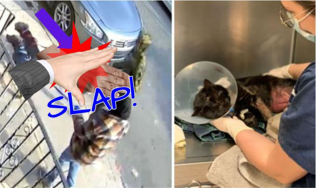 hate-crime-philadelphia-wrist-slap