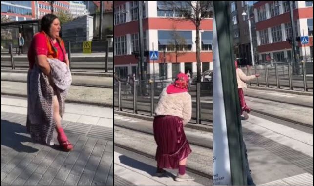 poop-gypsies