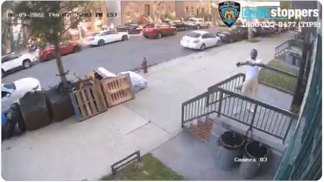 1-shock-crime-videos