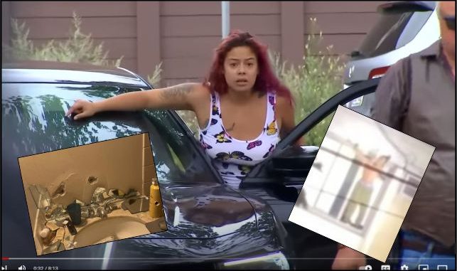 BLM-Thugs