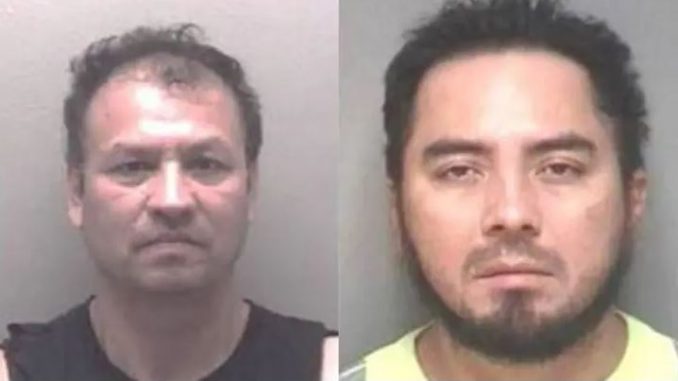 illegal-aliens