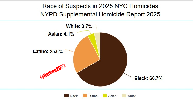 New York Homicides 2025